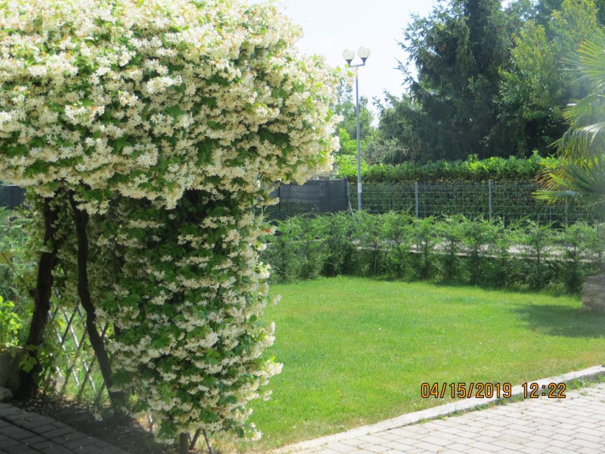 Bed and Breakfast 5 Palme Terzo d' Aquileia Esterno foto