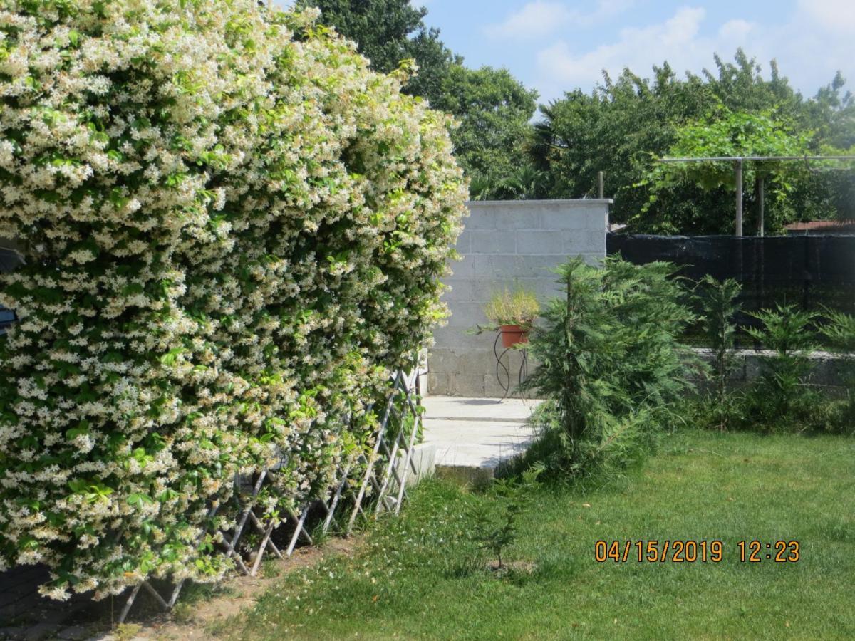 Bed and Breakfast 5 Palme Terzo d' Aquileia Esterno foto
