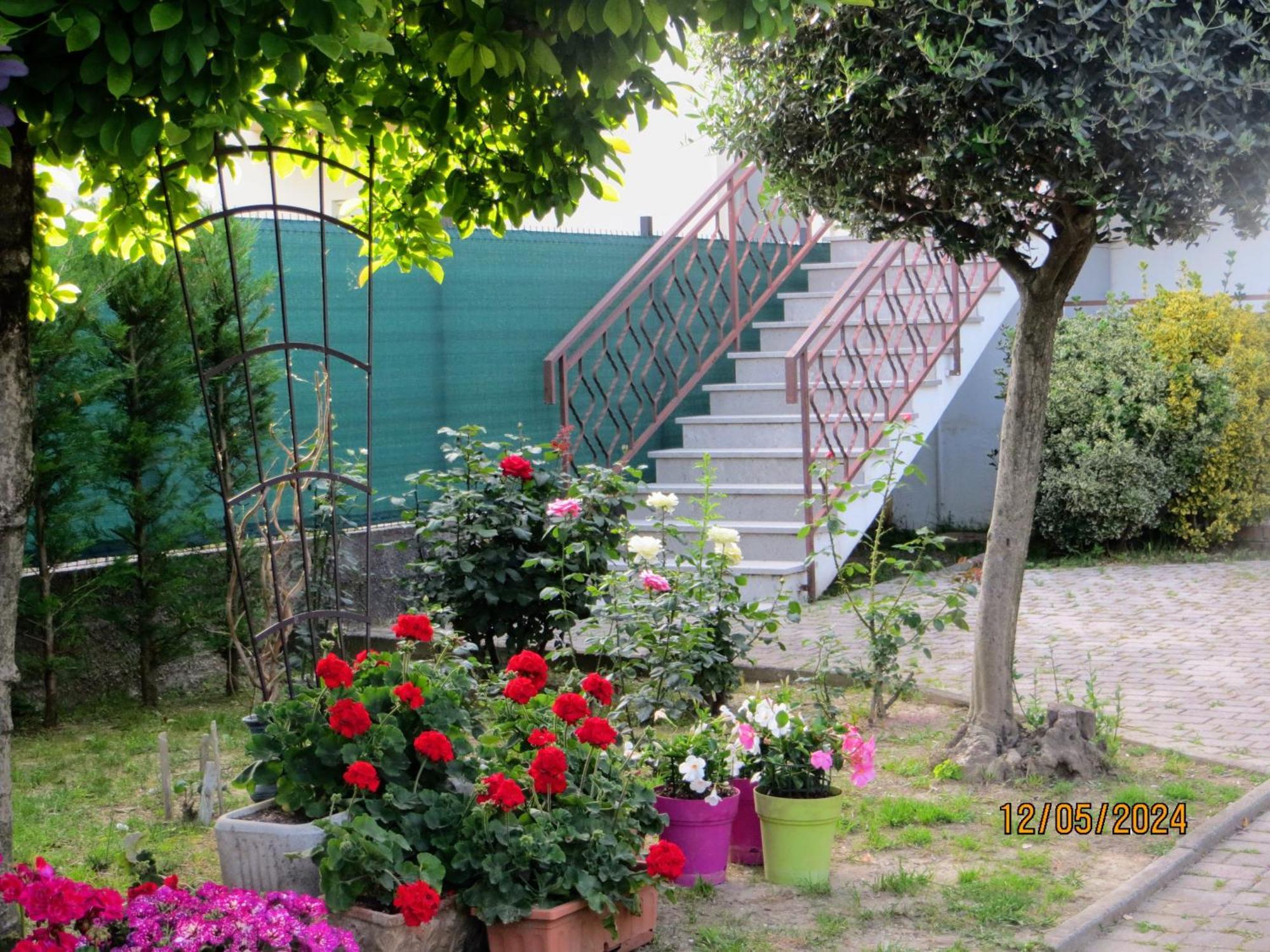 Bed and Breakfast 5 Palme Terzo d' Aquileia Esterno foto