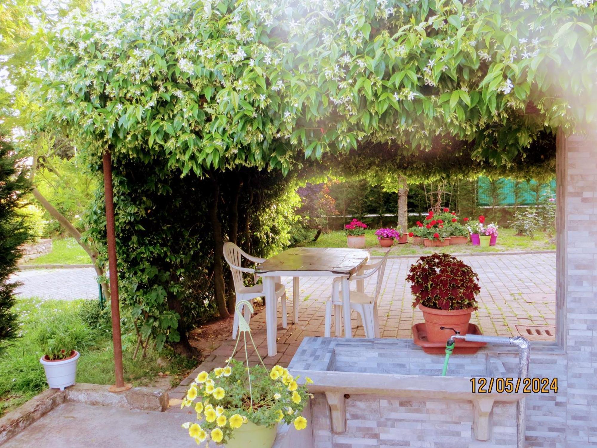 Bed and Breakfast 5 Palme Terzo d' Aquileia Esterno foto